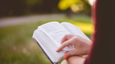 Jesus é o semeador, se apresenta como alguém que se propõe e não impõe