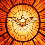 O Espírito do Senhor está sobre nós - Padre Alexsandro Freitas (23/01/2022)