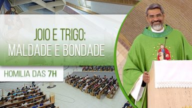 Joio e trigo: maldade e bondade - Padre Evandro Lima (28/07/2020)