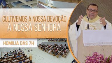 Cultivemos a nossa devoção a Nossa Senhora - Padre Wagner Ferreira (16/07/2020)