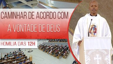 Caminhar de acordo com a vontade de Deus - Padre Edison Oliveira (13/08/2020)