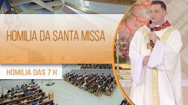 Homilia da Santa Missa -  Padre Elinton Costa (06/11/2020)