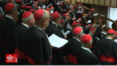 Cardeais refletem sobre a Igreja as qualidades do próximo Papa