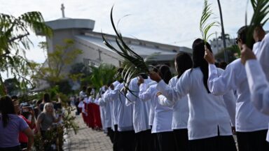 Confira como foi o Domingo de Ramos na Canção Nova