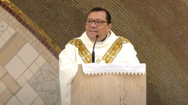 Homilia da Santa Missa - Padre Wagner Ferreira - 14/06/2025