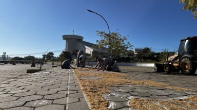 Canção Nova prepara tapete de Corpus Christi 2025
