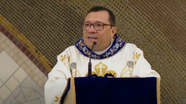 Homilia da Santa Missa - Padre Wagner Ferreira - 12/10/2025