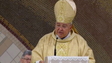 Homilia da Santa Missa - Dom Orani Tempesta - 08/11/2025