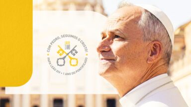 O primeiro ano de pontificado de Leão XIV