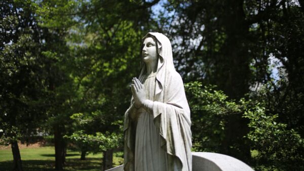 Maria é vencedora nas batalhas