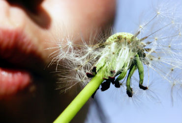 materia-vicio-virtudes