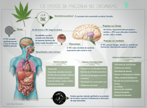 arte-maconha-destrave infográfico-efeitos-maconha-organismo-destrave