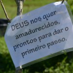 O que você precisa recomeçar?
