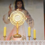 Jesus Eucarístico, a nova Arca da Aliança