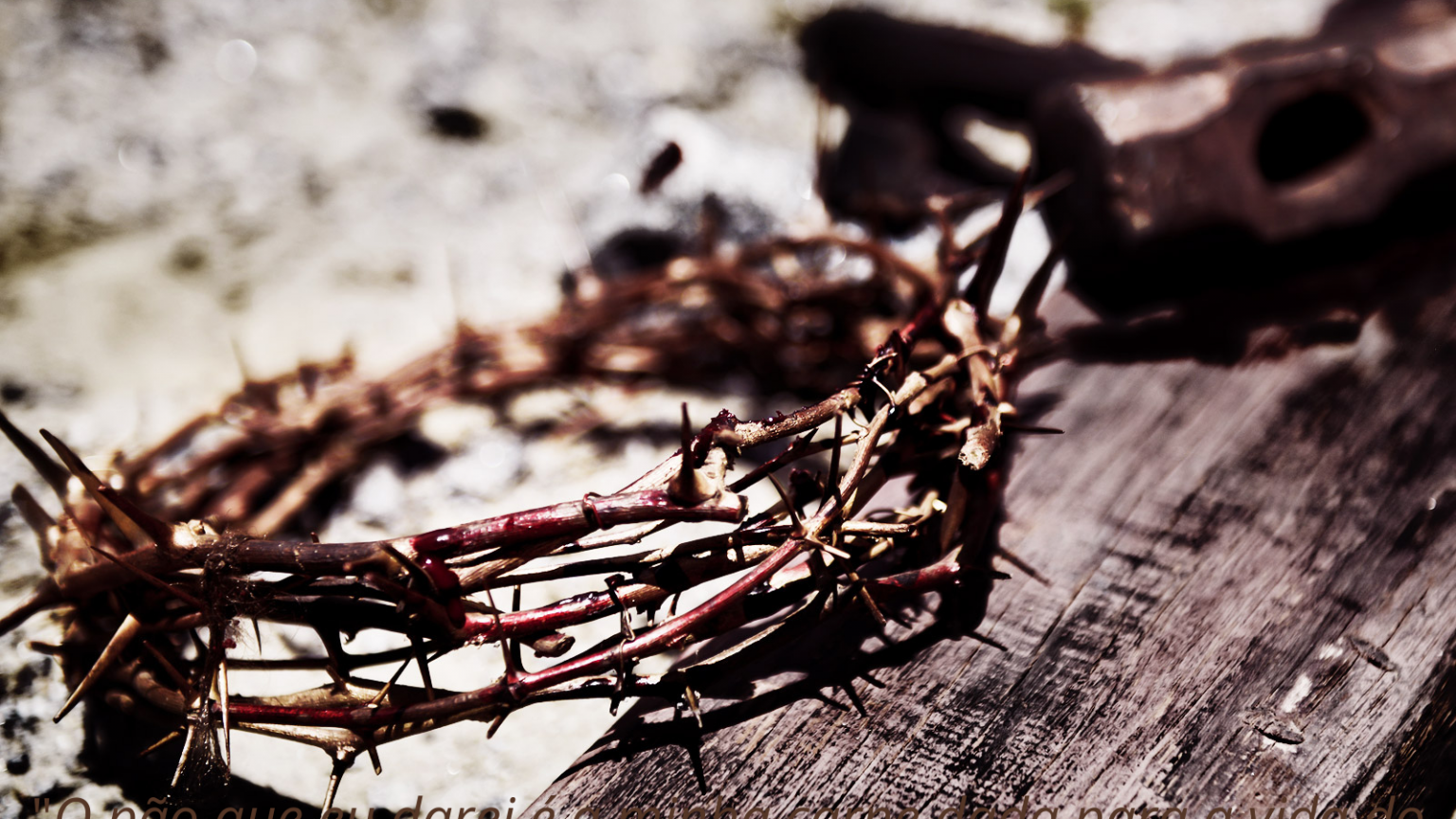 Sangue-de-Jesus-1-1-1536x864.png