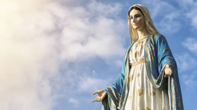 Aprendendo a viver da Divina Providência